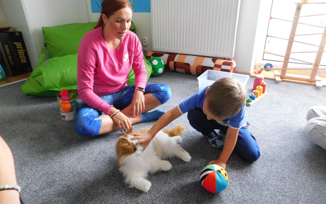 Sociálně aktivizační služby pro rodiny s dětmi s PAS (SAS)